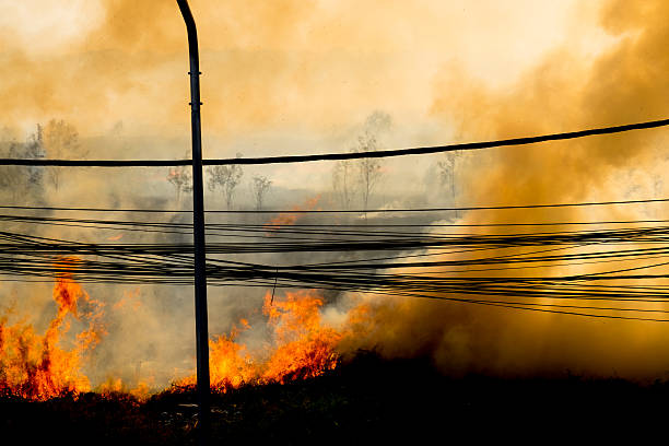 istock wildfire at side of road sihouette. 537288326