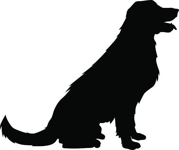 ilustraciones, imágenes clip art, dibujos animados e iconos de stock de vector silueta perro - dog sitting