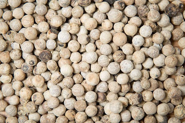 istock close up pile of white pepper 537289218