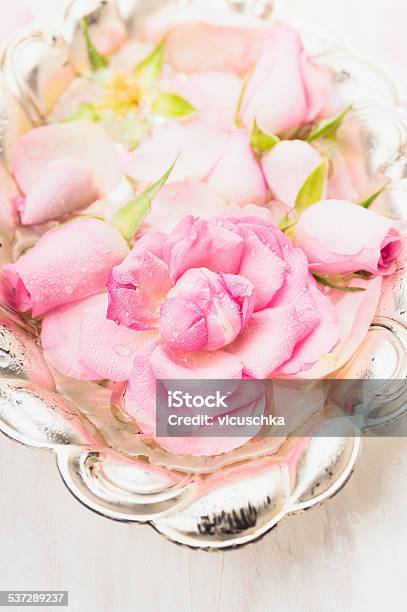 Pink Rose In Silver Bowl With Water Close Up Stock Photo - Download Image Now - 2015, Alternative Therapy, Aromatherapy