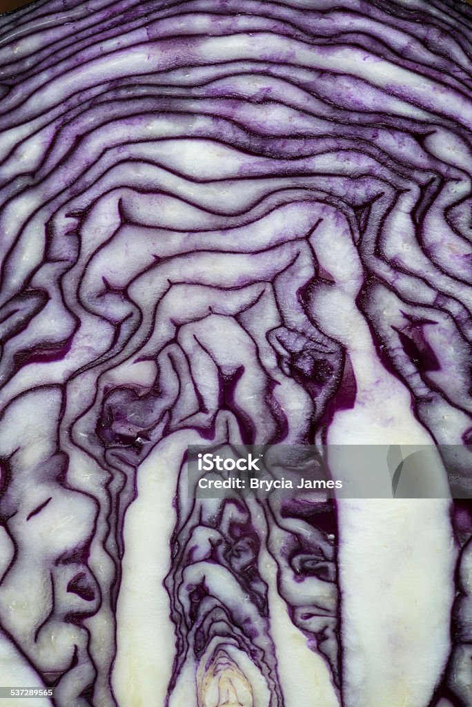 Cross Section of Purple Cabbage A cross-section of a head of purple cabbage. 2015 Stock Photo