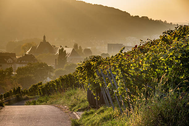 新しい家 - german culture germany vineyard village ストックフォトと画像