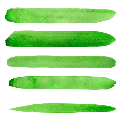 Watercolor paint green design lines set isolated on white background