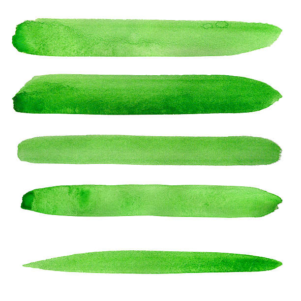 Watercolor paint green background design lines Watercolor paint green design lines set isolated on white background central vietnam stock pictures, royalty-free photos & images