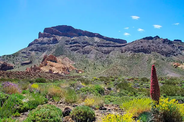 Photo of View of Ucanca valley at Teide National Park