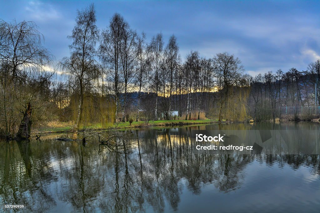 Spring landscape, the water level in front of trees Reflection of trees in the water spring under a cloudy sky, with mountains in the background Falling Stock Photo