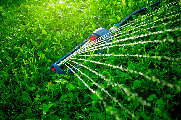istock Lawn sprinkler spaying water over green grass. 537292618