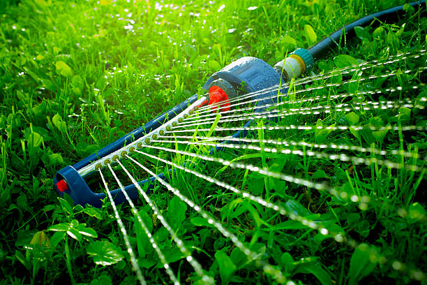 istock Lawn sprinkler spaying water over green grass. 537292738