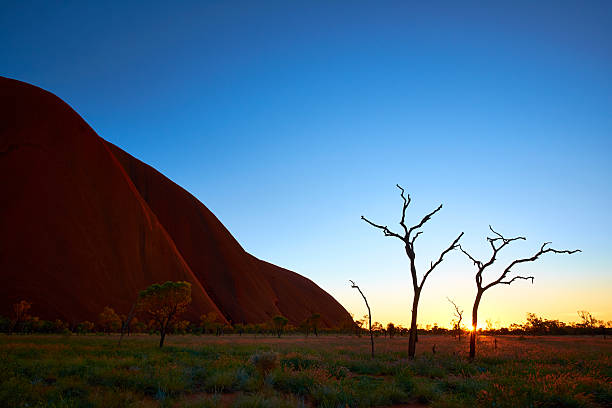 lever du soleil à uluru - uluru australia northern territory sunrise photos et images de collection