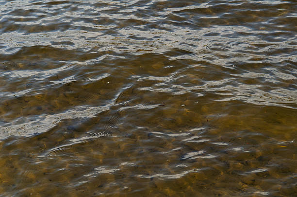 istock Texture of transparent river water 537296272