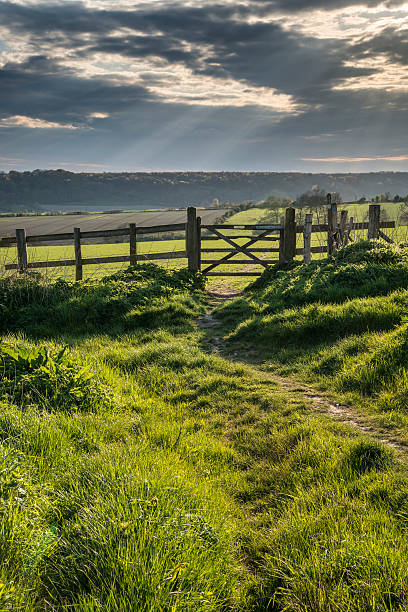 istock Beautiful English countryside landscape over fields at sunset 537296624