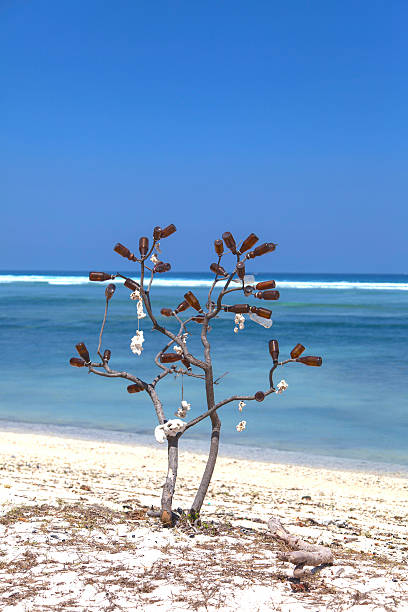 индонезийская гили траванган пляже. - island tropical climate travel sand стоковые фото и изображения