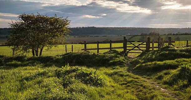 istock Beautiful English countryside landscape over fields at sunset 537297604