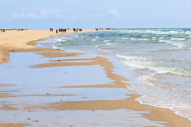 Photo of Sandy beach by the sea with people who walk