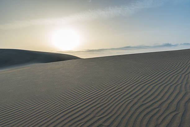 istock Sunrise in Desert - beautiful landscape with sand dunes 537300806