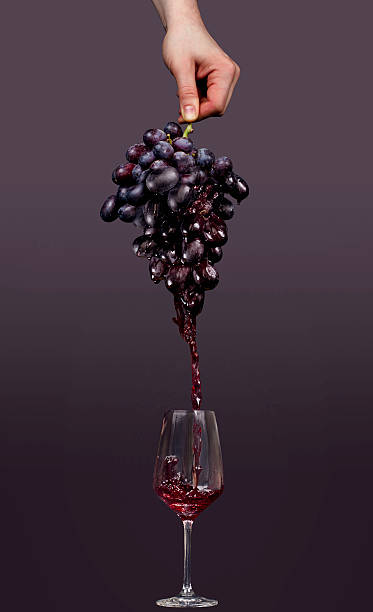 Gourmet wine concept: From the grape into the wine glass