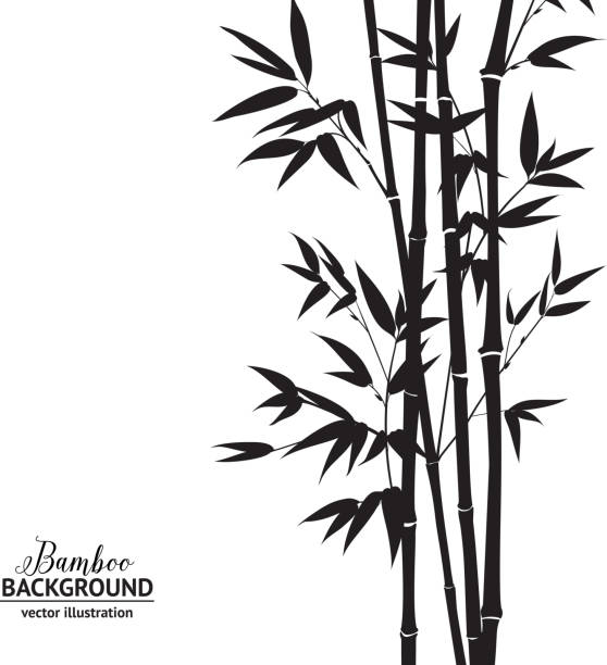 Bamboo bush Bamboo bush, ink painting over white background. Vector illustration. bamboo plant stock illustrations