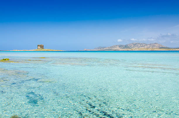 istock Beach Pelosa on Sardinia, Italy 537302744