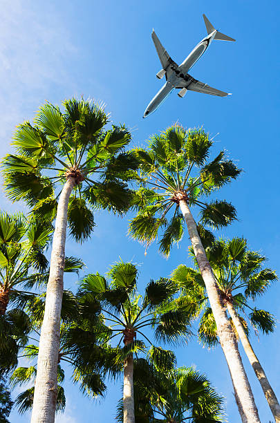 istock Airliner Landing in Tropical airport 537303732