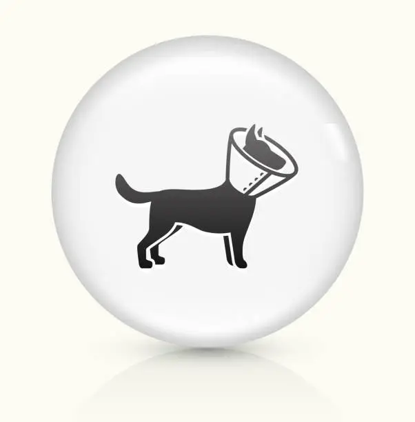 Vector illustration of Dog and Neck Cone icon on white round vector button
