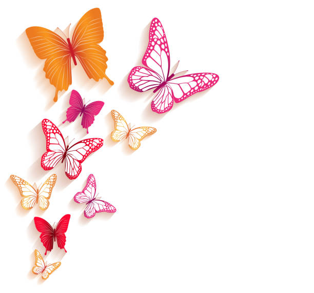 現実的な春のカラフルな蝶絶縁 - butterfly yellow white background wing点のイラスト素材／クリップアート素材／マンガ素材／アイコン素材
