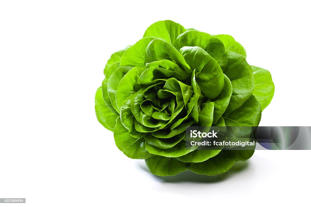 Butterhead lettuce Fresh organic butterhead lettuce isolated on white background Lettuce Stock Photo
