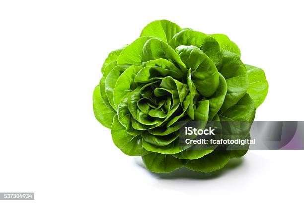 Butterhead Lettuce Stock Photo - Download Image Now - Lettuce, Cut Out, Salad