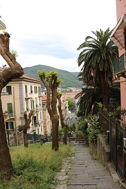istock Hills of La Spezia, Italy 537305934