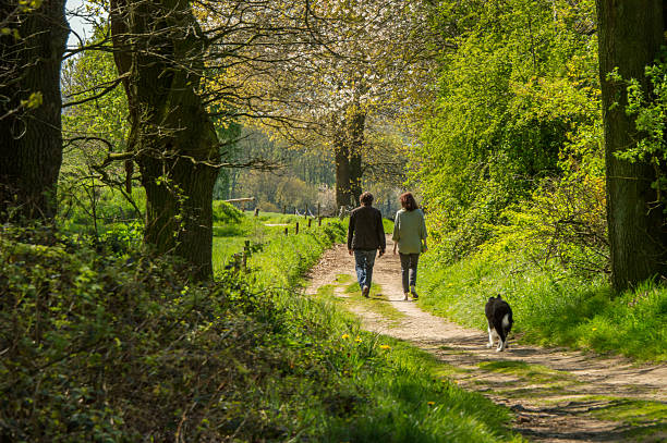 faire une marche dans les champs au printemps - meadow single lane road nature field photos et images de collection