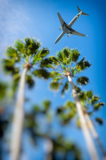 istock Airliner Landing in Tropical airport 537306610