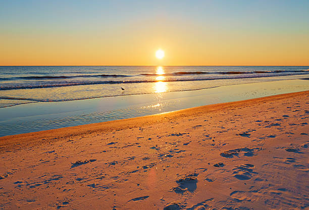 Photo of beach and ocean at Gulf of Mexico, Panama City Beach, Florida, USA during sunset, with focus on the foreground.