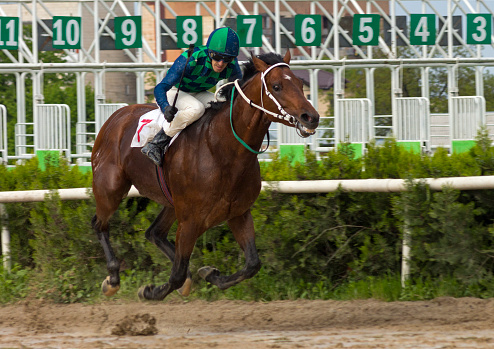 Horse race for the prize Evtushenko in Nalchik,Caucasus,Russia.
