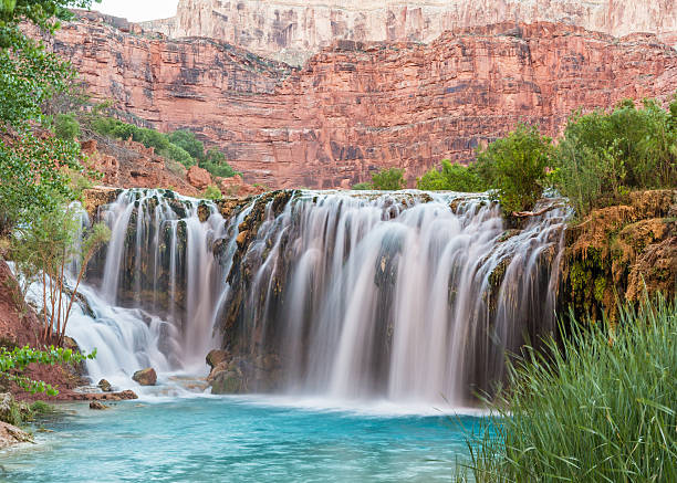 Little Navajo Falls in Havasu Canyon Silly water flows over Little Navajo Falls into a turquoise pool on the Havasupai Indian Reservation in the Grand Canyon. harasu canyon stock pictures, royalty-free photos & images