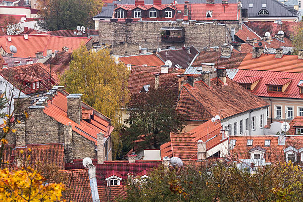 istock Red brick roofs of Vilnius in Lithuania in autumn 537314049