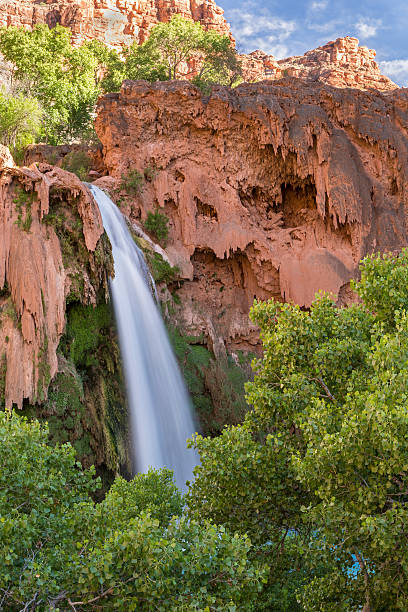 Havasu Falls Travertine Forest and Sky Havasu Falls plunges behind a canopy of Cottonwood Trees on the Havasupai Indian Reservation in the Grand Canyon. harasu canyon stock pictures, royalty-free photos & images