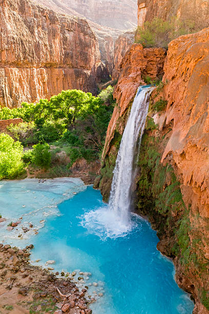 Havasu Falls Plunges into Turquoise Pool Havasu Falls plunges into a deep blue-green pool, with Cataract Canyon behind lit by the morning sun, on Havasupai Indian Reservation in the Grand Canyon. havasu falls stock pictures, royalty-free photos & images