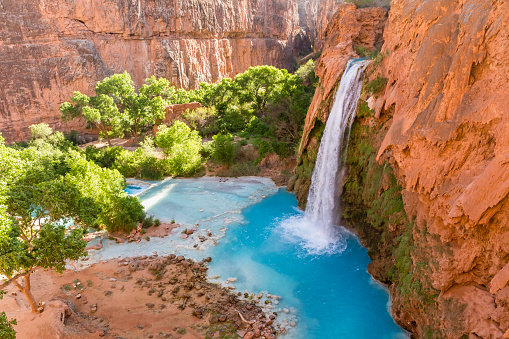 Havasu Falls plunges into a deep blue-green pool, with Cataract Canyon behind lit by the morning sun, on Havasupai Indian Reservation in the Grand Canyon.