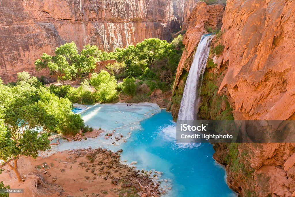Havasu Falls Turquoise Canyon Oasis Havasu Falls plunges into a deep blue-green pool, with Cataract Canyon behind lit by the morning sun, on Havasupai Indian Reservation in the Grand Canyon. Desert Oasis Stock Photo