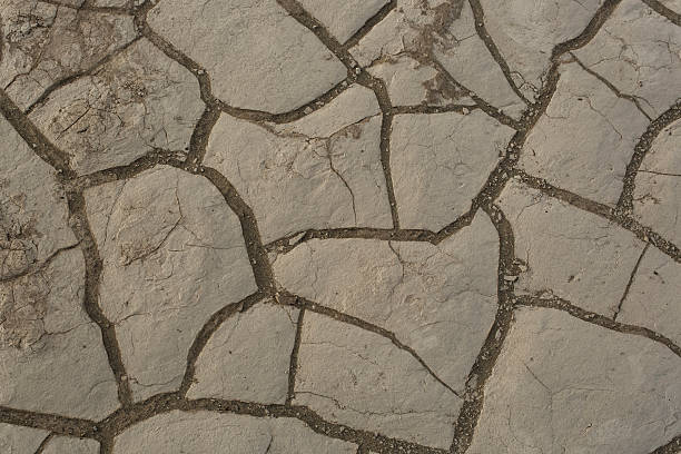 Cracked Mud stock photo
