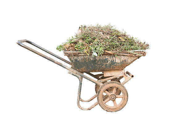 istock Cart Pune and rag weed isolated on white 537316632