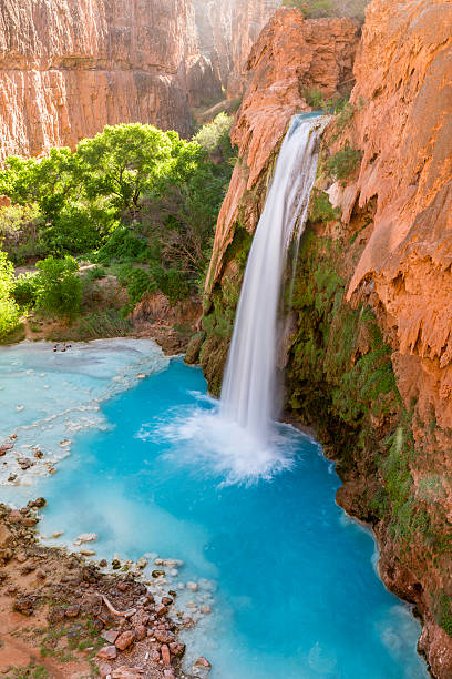 Havasu Falls Tranquility Havasu Falls plunges into a deep blue-green pool, with Cataract Canyon behind lit by the morning sun, on Havasupai Indian Reservation in the Grand Canyon. red rocks state park arizona photos stock pictures, royalty-free photos & images