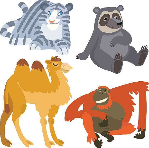 illustrations, cliparts, dessins animés et icônes de dessin animé animaux asiatiques ensemble - couleur chameau