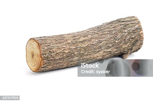 istock willow log isolated 537317925