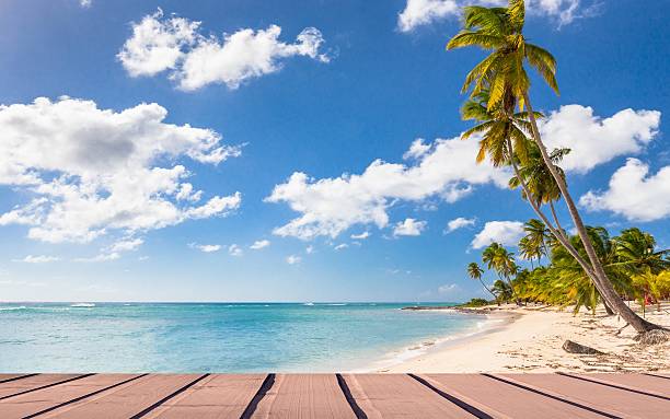 istock Caribbean beach in Dominican Republic 537318045