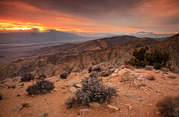 istock Joshua Tree National Park keys view sunset 537318661