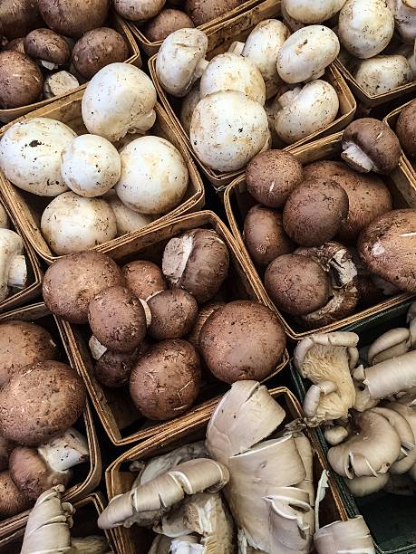 Button, Brown, and Maitake Mushrooms