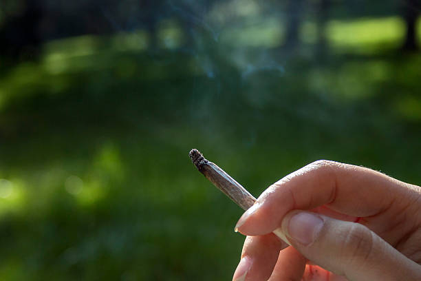 istock Human hand holding cigarette over green forest background 537318780