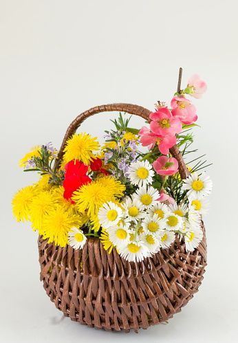 Flower basket made of wicker against white background