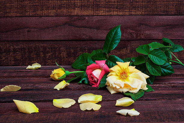 istock Roses on a wooden table 537319868