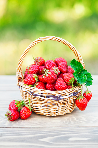 fresh ripe strawberries in a basket on wooden table in garden